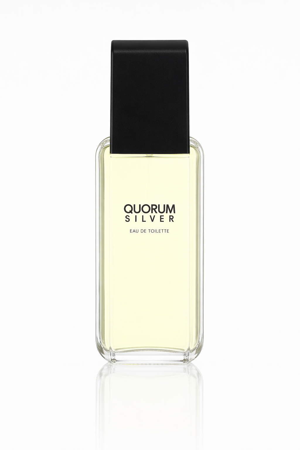Quorum Silver Eau De Toilette Spray By Puig Default